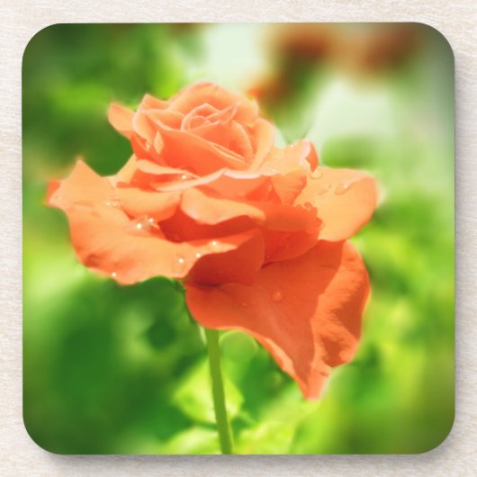 ロマンチックなバラの花#2 コースター (正面)
