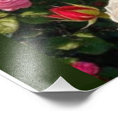 ロマンチックなバラガーデンパスコテージコアウォールアート フォトプリント            (角)