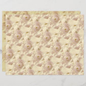 ロマンチックなバラ淡い色のイエロー (正面/裏面)