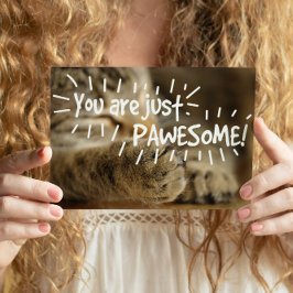 ロマンチックなパウエソーム猫バレンタイン ポストカード