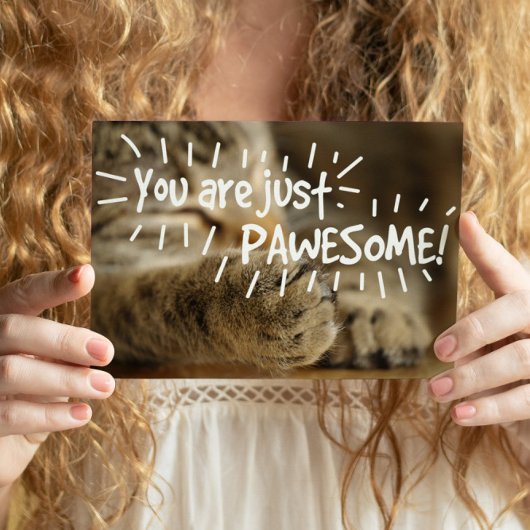 ロマンチックなパウエソーム猫バレンタイン ポストカード