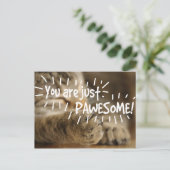 ロマンチックなパウエソーム猫バレンタイン ポストカード (スタンド正面)