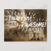 ロマンチックなパウエソーム猫バレンタイン ポストカード (正面)