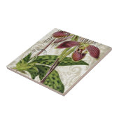 ロマンチックなパリの熱帯フランスのな植物の蘭 タイル (側面)