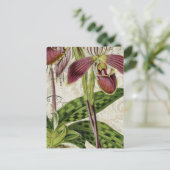 ロマンチックなパリの熱帯フランスのの植物蘭 ポストカード (スタンド正面)