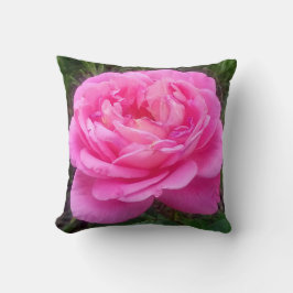 ロマンチックなピンクのバラ「レオナルド・ダ・ヴィンチ」 クッション