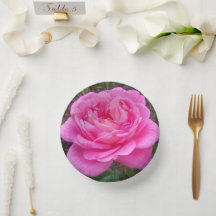 ロマンチックなピンクのバラ 'レオナルド ダ ヴィンチ'   