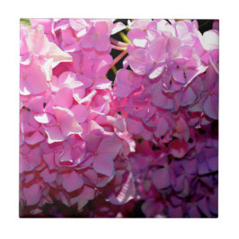 ロマンチックなピンクのフローラエレガントアジサイ タイル
