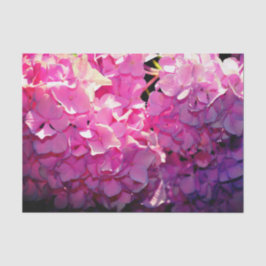 ロマンチックなピンクのフローラエレガントアジサイ 薄葉紙