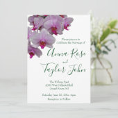 ロマンチックなピンクの白い蘭の写真,蘭 招待状 (スタンド正面)