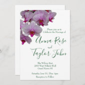 ロマンチックなピンクの白い蘭の写真,蘭 招待状 (正面/裏面)