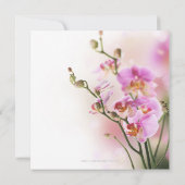 ロマンチックなピンクの蘭の結婚式招待状 招待状 (裏面)