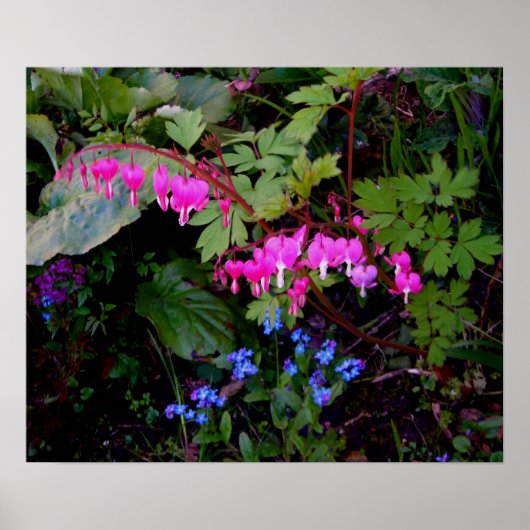 ロマンチックなフラワーポスター ポスター (正面)