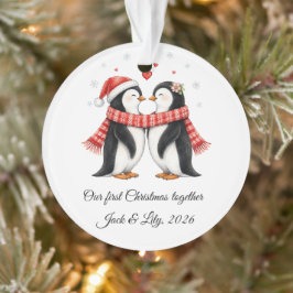 ロマンチックなペンギンのカップル オーダーメイドクリスマス オーナメント