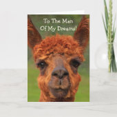 ロマンチックなラマ「夢の男」誕生日 カード (正面)
