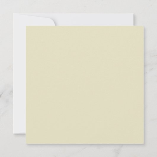 ロマンチックなレースのブライダルシャワーの招待状 招待状 (裏面)