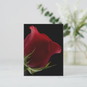 ロマンチックなローズ ポストカード (スタンド正面)