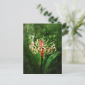 ロマンチックなヴィンテージの赤いくもユリ ポストカード (スタンド正面)