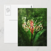 ロマンチックなヴィンテージの赤いくもユリ ポストカード (正面/裏面)