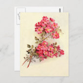 ロマンチックなヴィンテージピンクローズ ポストカード (正面/裏面)