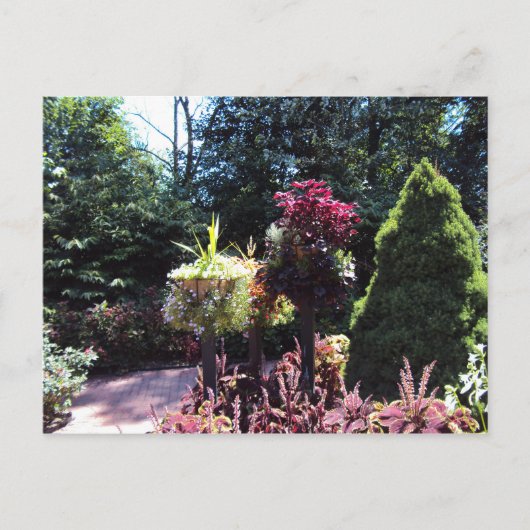 ロマンチックな場所 ポストカード (正面)