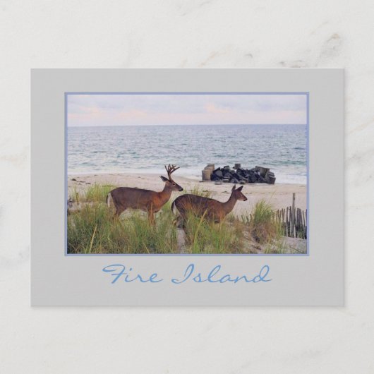 ロマンチックな夕べ散策ビーチ葉書 ポストカード (正面)