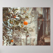 ロマンチックな旧市街のオレンジ色の木 ポスター (正面)