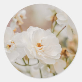 ロマンチックな白いコービンローズの花の自然写真 ラウンドシール
