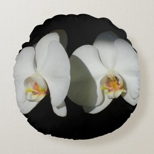 ロマンチックな白い蘭、熱帯のフローラ写真 ラウンドクッション (正面)