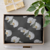 ロマンチックな白い蘭、熱帯のフローラ写真 薄葉紙 (ギフト)