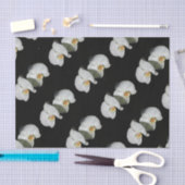 ロマンチックな白い蘭、熱帯のフローラ写真 薄葉紙 (クラフト)