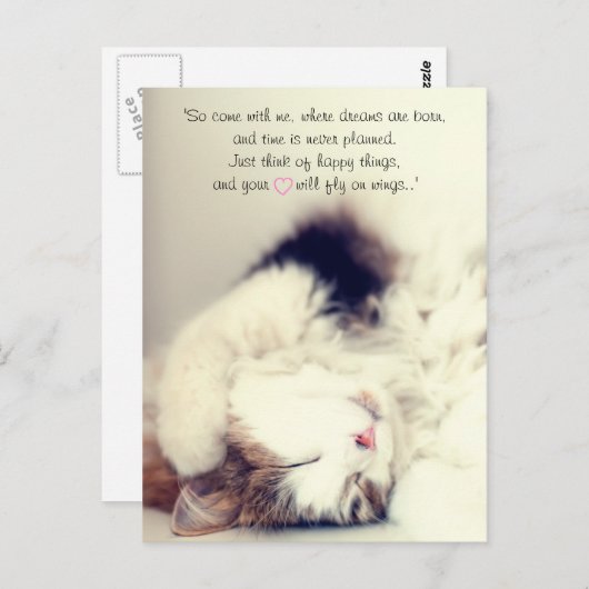 ロマンチックな眠り猫のシーンJMバリ引用文 ポストカード (正面/裏面)