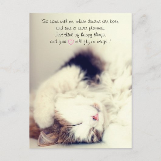 ロマンチックな眠り猫のシーンJMバリ引用文 ポストカード (正面)