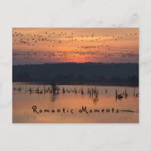 ロマンチックな瞬間Birds at sunrise photo with文字 ポストカード