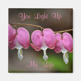 ロマンチックな磁石 マグネット