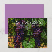 ロマンチックな紫色のブドウのブドウのワイナリー結婚ズ 案内ポストカード (正面/裏面)