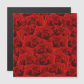 ロマンチックな赤いバラ (正面/裏面)