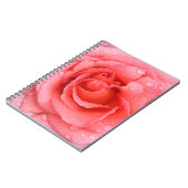 ロマンチックな赤いピンクのバラの水滴 ノートブック (左側)