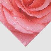 ロマンチックな赤いピンクのバラの水滴 薄葉紙 (詳細)