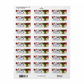 ロマンチックな赤い水の色のバラ&ランタン結婚ズ ラベル (フルシート)