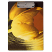 ロマンチックな黄色のチューリップ クリップボード (正面)