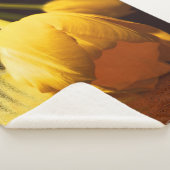 ロマンチックな黄色のチューリップ シェルパブランケット (3/4)