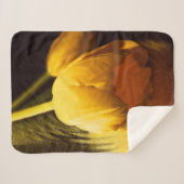 ロマンチックな黄色のチューリップ シェルパブランケット (正面(横))