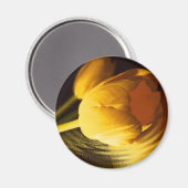 ロマンチックな黄色のチューリップ マグネット (正面/裏面)