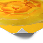 ロマンチックな黄色のバラの水滴 ポスター (角)