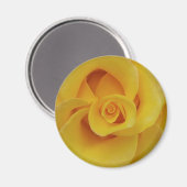 ロマンチックイエローローズ花びら マグネット (正面/裏面)