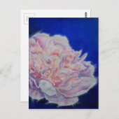 ロマンチックエレガントなピンクの白いパステルの水色 ポストカード (正面/裏面)