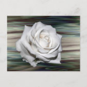 ロマンチックサファリフローラゲストブライダルシャワーデスティニー インビテーションポストカード (正面)