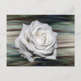 ロマンチックサファリフローラゲストブライダルシャワーデスティニー インビテーションポストカード