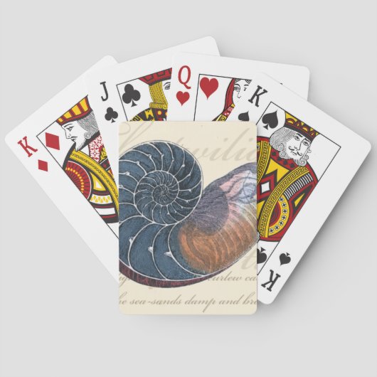 ロマンチックシーシェル トランプ (裏面)